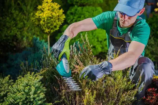 landscaping services Great River